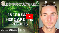 Unleashing Abundance with Electroculture: A Before & After Tale