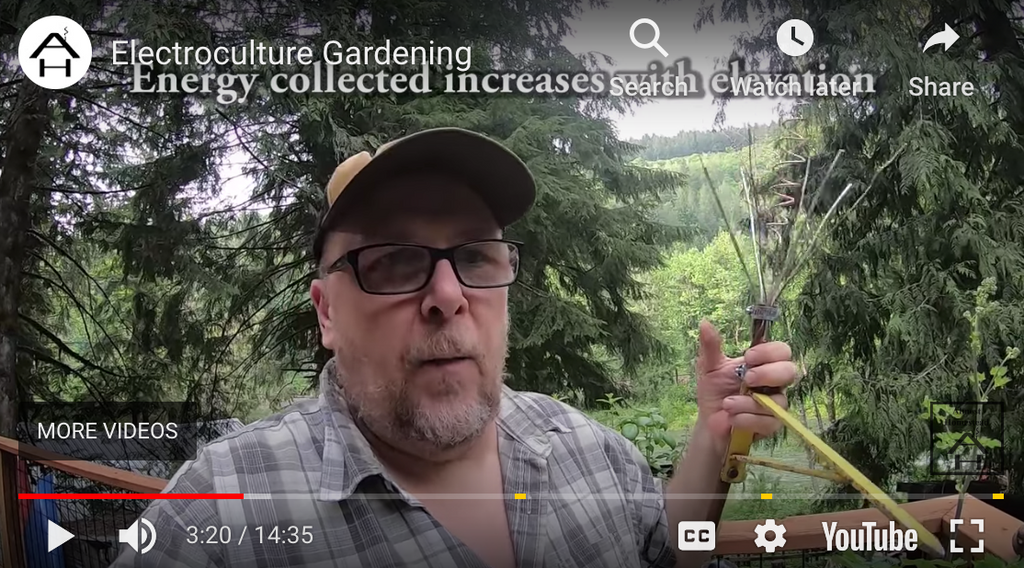 Diving into the World of Electroculture: An Experiment in Plant Growth Enhancement