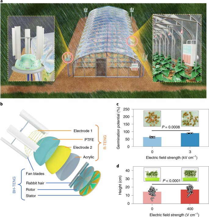 🌱🚀 Unleashing the Power of Nature: Chinese Innovators Ignite Crop Revolution with Electroculture 🚀🌱