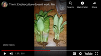 copper wire gardening - house plants