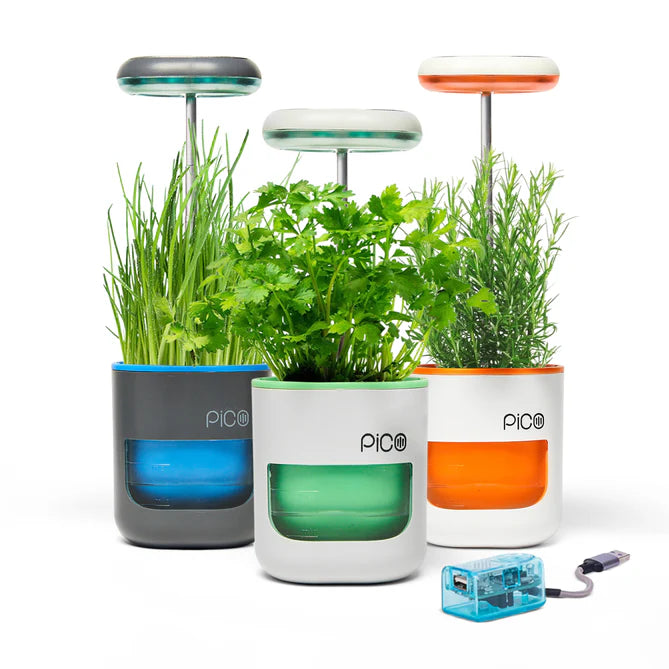 PICO - Indoor Herb Gardening Made Easy & Fun