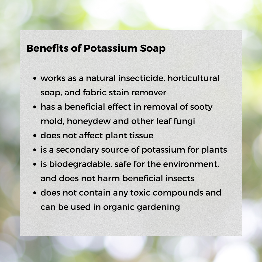 potassium soap insecticide Clean & Guard Organic Pesticide Potassium Soap 2-in-1 Pest Control Spr – Thrive Garden