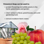 Clean & Guard Organic Potassium Soap Concentrate – 2-in-1 Pest Control Spray & Garden Cleaner (35 fl oz)