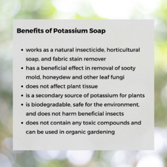 Clean & Guard Organic Potassium Soap Concentrate – 2-in-1 Pest Control Spray & Garden Cleaner (35 fl oz)