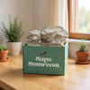 SHROOMBAG MUSHROOM GROW KIT
