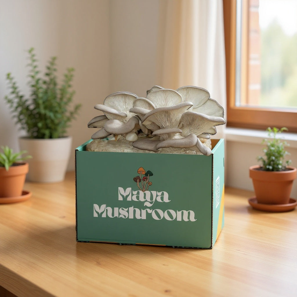 SHROOMBAG MUSHROOM GROW KIT