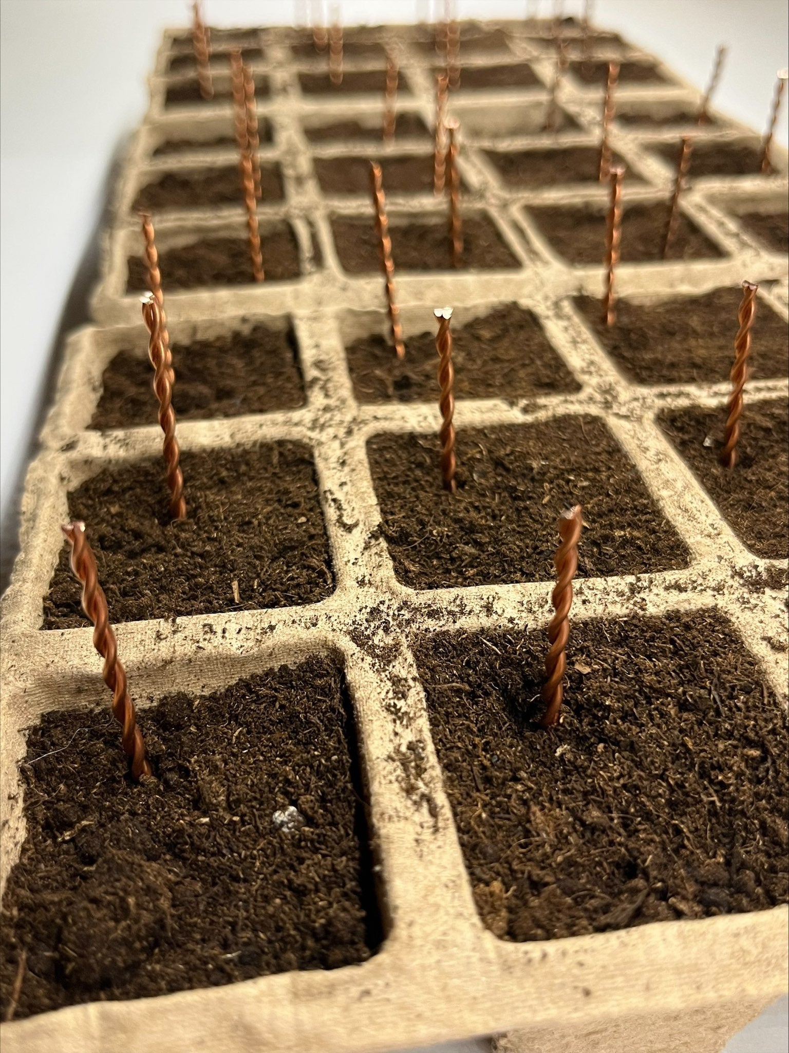 MightyMicro™ Copper Electroculture Antennas for Seed Starting & Trays –  Thrive Garden