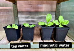PlantSurge Magnetic Water Device for Gardens & Farms (Up to 3X Plant Growth)